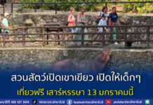 สวนสัตว์เปิดเขาเขียว เปิดให้เด็กๆ เที่ยวฟรี เสาร์หรรษา 13 มกราคมนี้